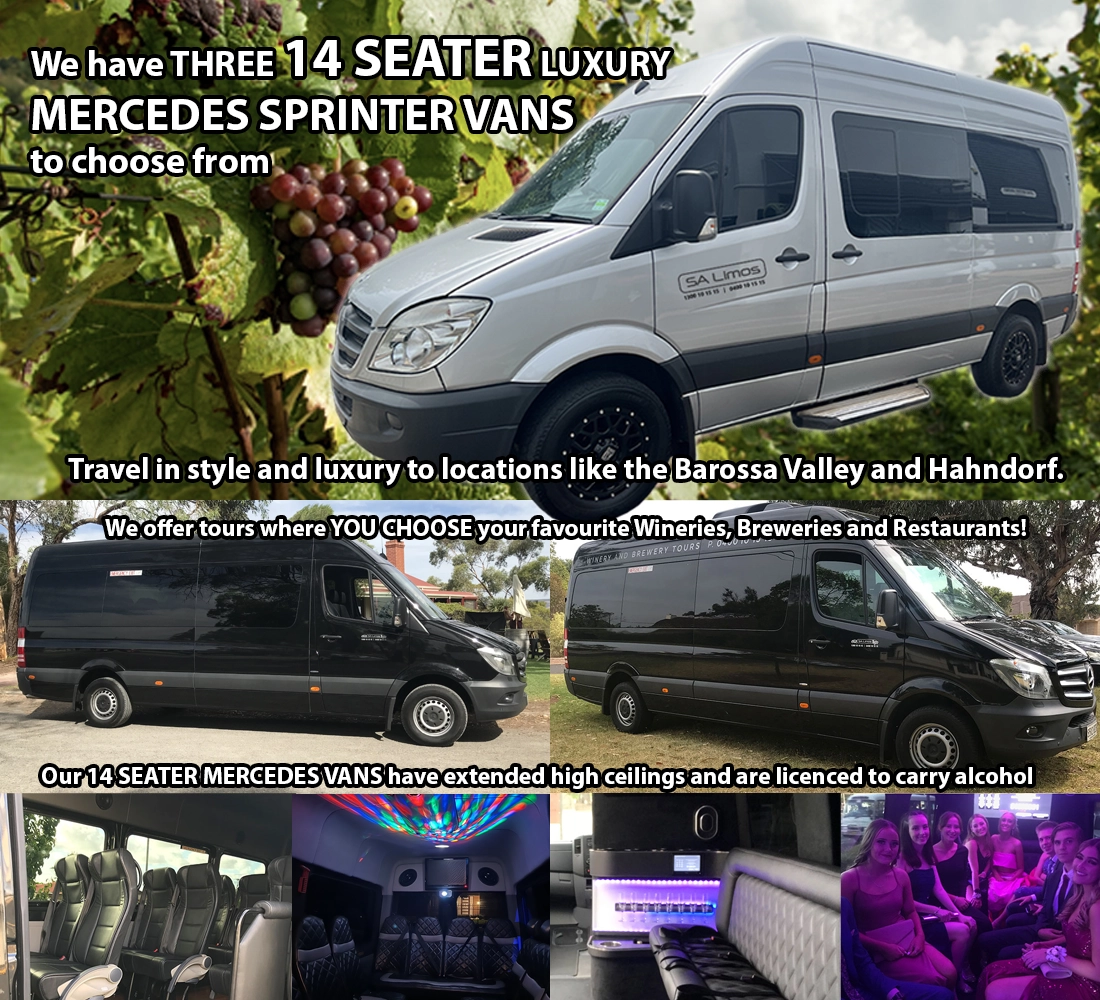 Sprinter Party and Winery Tour Limo Vans Bus